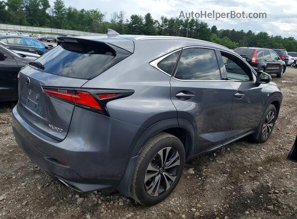 JTJSARDZ4M2256152 2021 LEXUS NX Серый Задняя правая четверть