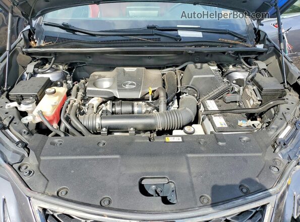 JTJSARDZ4M2256152 2021 LEXUS NX Серый Вид задней части салона