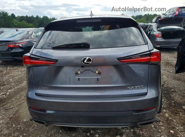 JTJSARDZ4M2256152 2021 LEXUS NX Серый Вид сзади