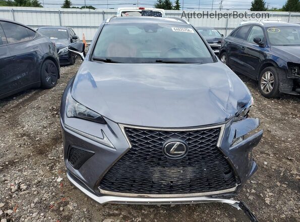 JTJSARDZ4M2256152 2021 LEXUS NX Серый Вид спереди