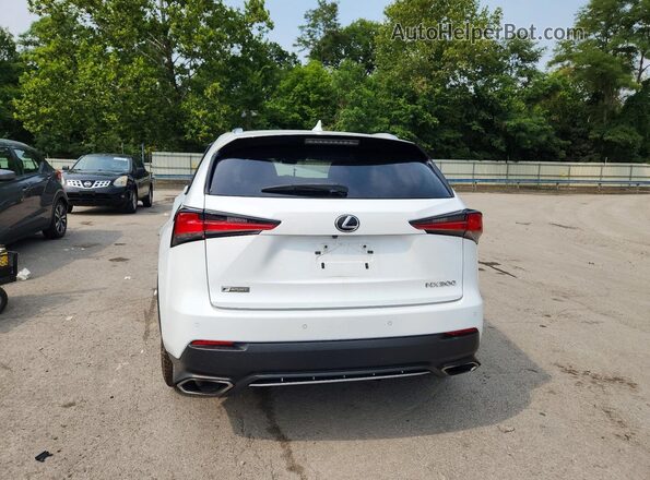 JTJSARDZ6M2236842 2021 LEXUS NX White Vista trasera