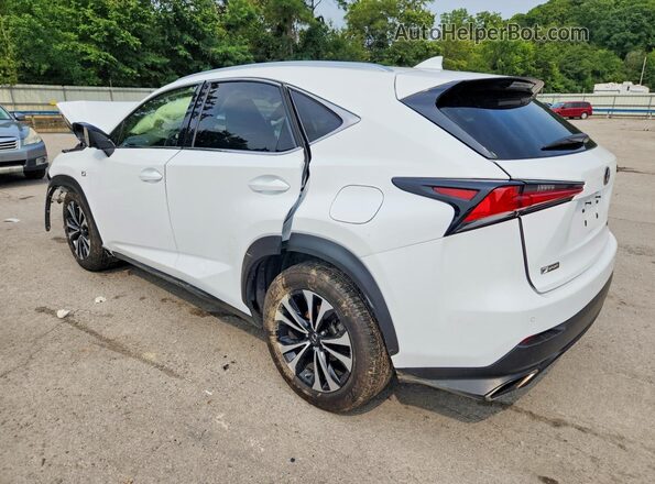 JTJSARDZ6M2236842 2021 LEXUS NX White Trasero izquierdo