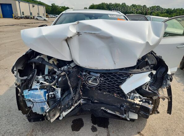 JTJSARDZ6M2236842 2021 LEXUS NX White Vista del compartimento del motor