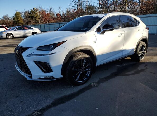 JTJSARDZ6M5022030 2021 LEXUS NX Белый Задняя правая четверть