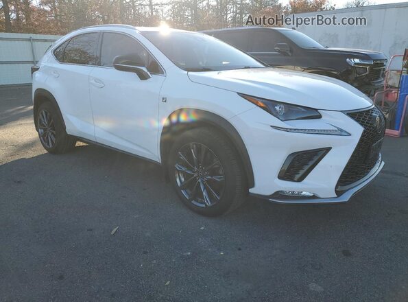 JTJSARDZ6M5022030 2021 LEXUS NX Белый Вид задней части салона