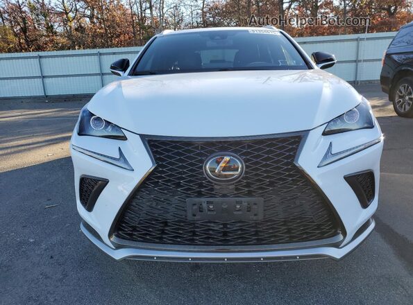 JTJSARDZ6M5022030 2021 LEXUS NX Белый 