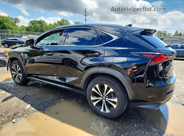JTJSARDZ9L5009030 2020 LEXUS NX Черный Задняя левая четверть