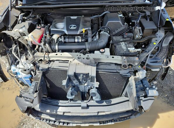 JTJSARDZ9L5009030 2020 LEXUS NX Черный Вид подкапотного пространства