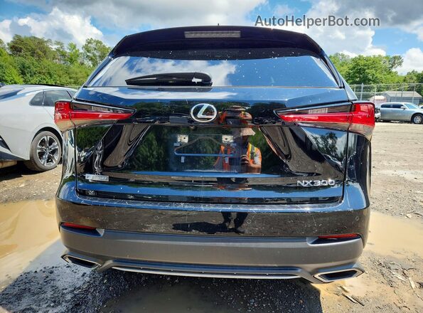 JTJSARDZ9L5009030 2020 LEXUS NX Черный Вид сзади