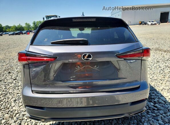 JTJSARDZ9M2243428 2021 LEXUS NX Gray Rear view