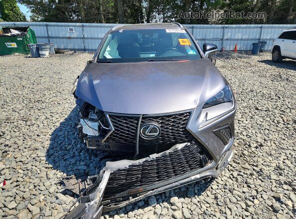 JTJSARDZ9M2243428 2021 LEXUS NX Gray Front view