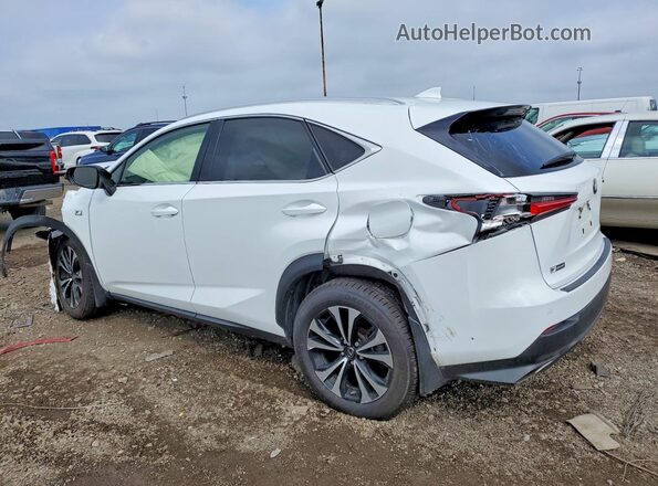 JTJSARDZ9M5021034 2021 LEXUS NX White Հետևի ձախ