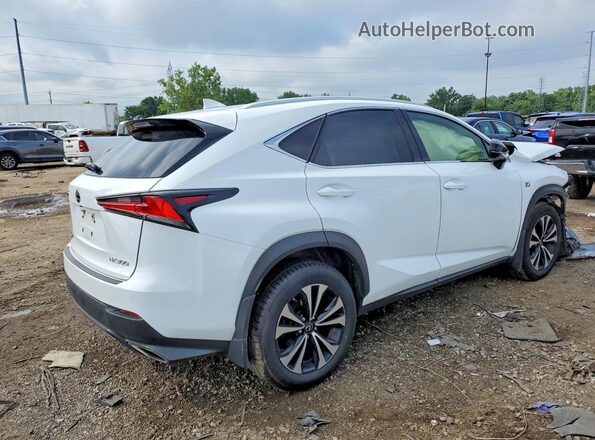 JTJSARDZ9M5021034 2021 LEXUS NX White Հետևի աջ