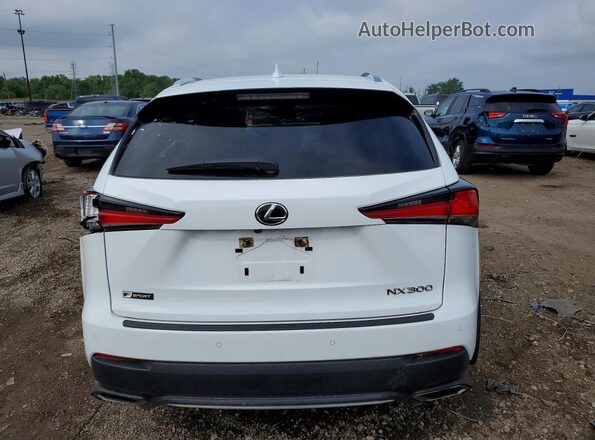 JTJSARDZ9M5021034 2021 LEXUS NX White Հետևի տեսք