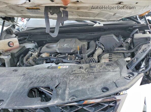 JTJSARDZ9M5021034 2021 LEXUS NX White Շարժիչի բաժամունքի տեսք