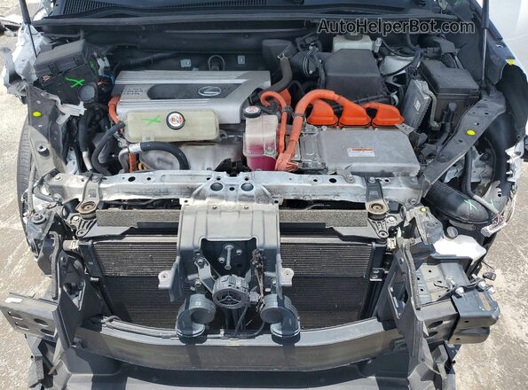 JTJSJRDZ0M5013694 2021 LEXUS NX Белый Вид задней части салона
