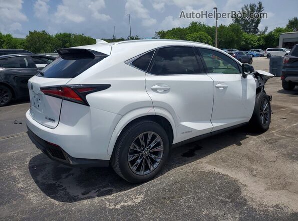 JTJSJRDZ0M5013694 2021 LEXUS NX Белый Задняя правая четверть