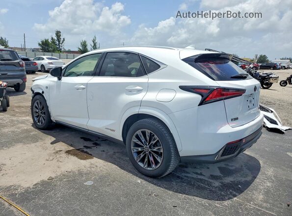 JTJSJRDZ0M5013694 2021 LEXUS NX Белый Задняя левая четверть