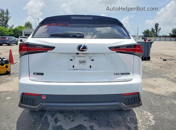 JTJSJRDZ0M5013694 2021 LEXUS NX Белый Вид сзади