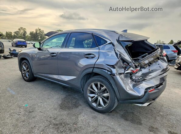 JTJYARBZ0G2029686 2016 LEXUS NX Серый Задняя левая четверть