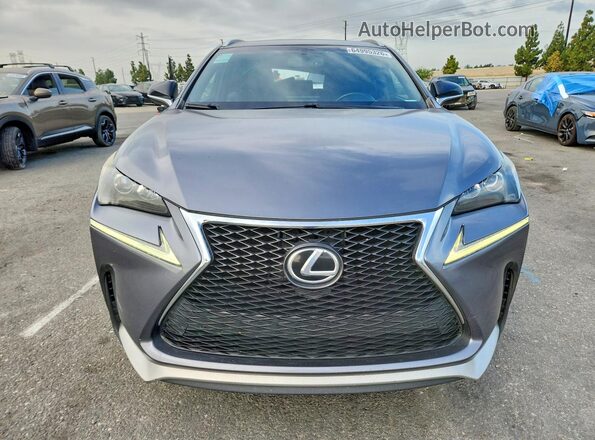 JTJYARBZ0G2029686 2016 LEXUS NX Серый Вид спереди