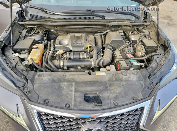 JTJYARBZ0G2029686 2016 LEXUS NX Серый Вид задней части салона