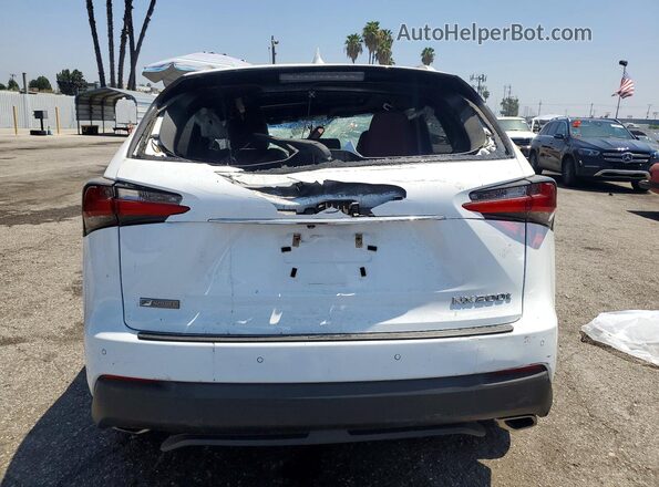 JTJYARBZ0H2054010 2017 LEXUS NX White Вид ззаду