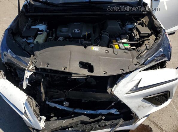 JTJYARBZ0K2132387 2019 LEXUS NX White Սալոնի հետևի տեսք