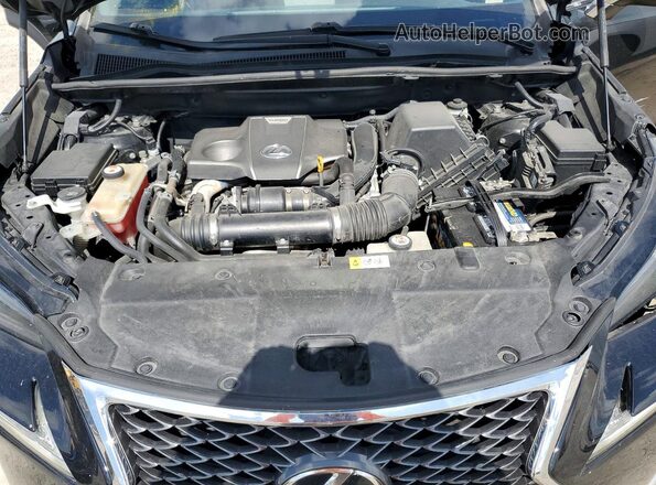JTJYARBZ1H2081538 2017 LEXUS NX Black Vista del compartimento del motor