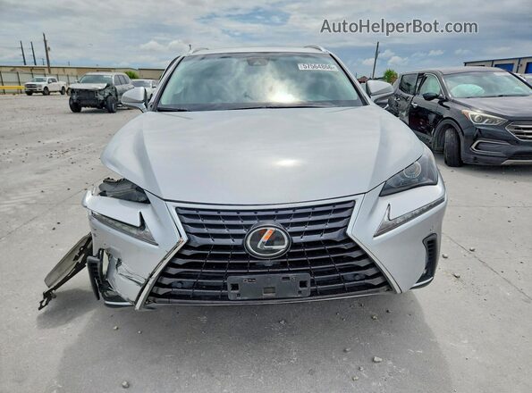 JTJYARBZ1K2140689 2019 LEXUS NX Gray Դիմացի տեսք