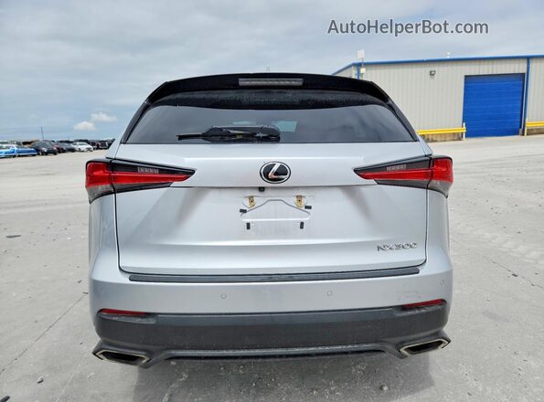 JTJYARBZ1K2140689 2019 LEXUS NX Gray Հետևի տեսք