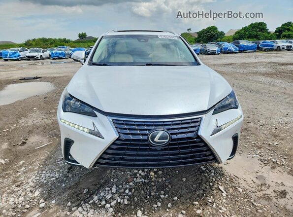 JTJYARBZ2K2141558 2019 LEXUS NX White Widok z przodu