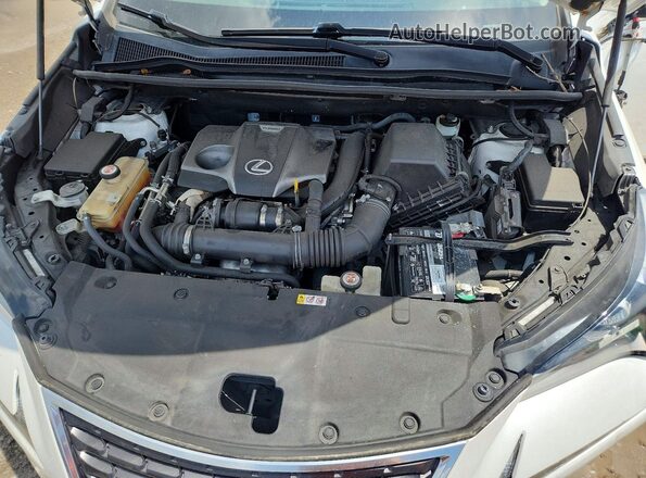 JTJYARBZ2K2141558 2019 LEXUS NX White Widok komory silnika
