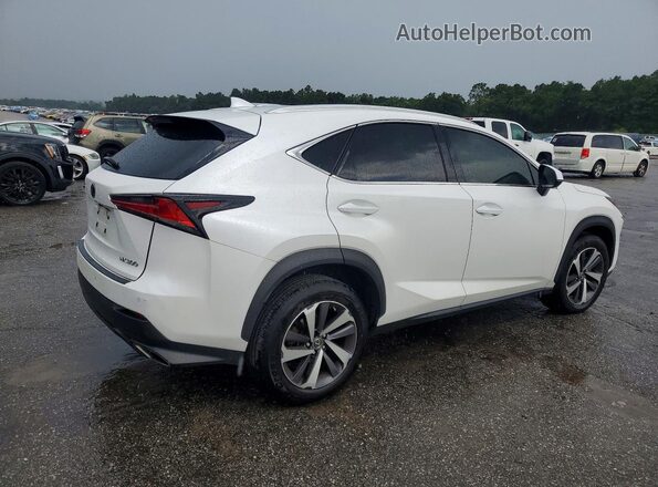 JTJYARBZ2K2156920 2019 LEXUS NX White Tył prawy
