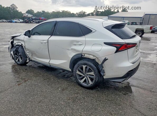 JTJYARBZ2K2156920 2019 LEXUS NX White Tył lewy