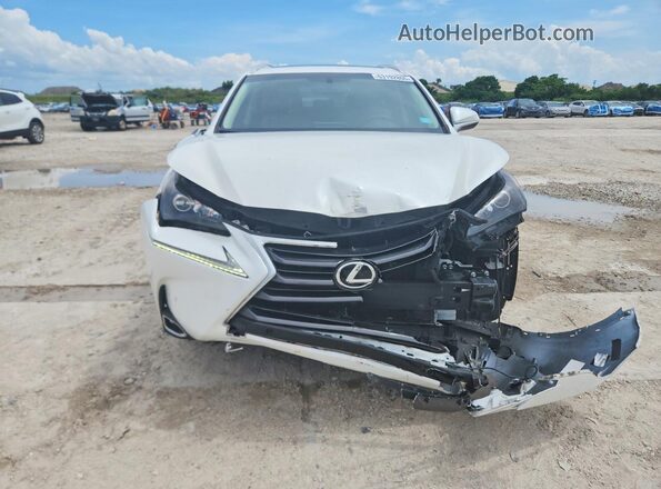 JTJYARBZ3H2078320 2017 LEXUS NX White Widok z przodu