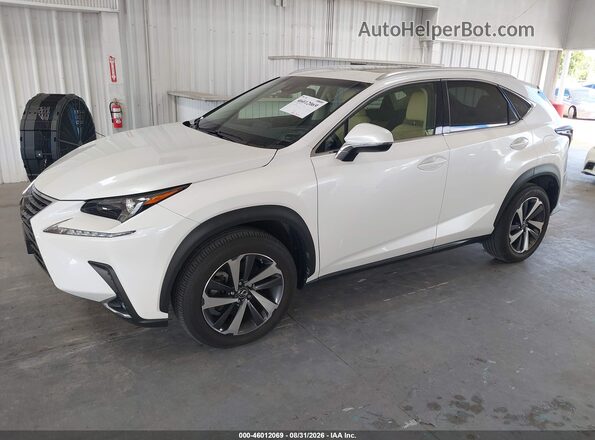 JTJYARBZ4K2140296 2019 LEXUS NX 300 White Front left
