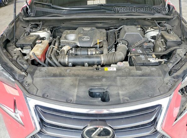 JTJYARBZ5H2076908 2017 LEXUS NX Двухцветный Вид задней части салона