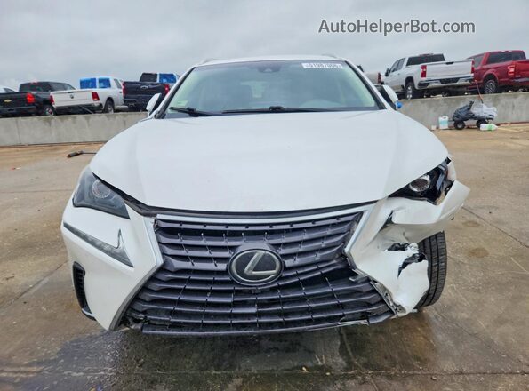 JTJYARBZ6K2119689 2019 LEXUS NX Белый Вид спереди