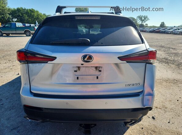 JTJYARBZ7J2092808 2018 LEXUS NX Silver Вид ззаду