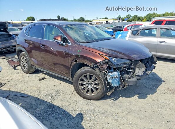 JTJYARBZ8K2145288 2019 LEXUS NX Brown Передня права чверть