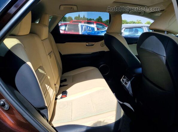 JTJYARBZ8K2145288 2019 LEXUS NX Brown Вид задніх сидінь