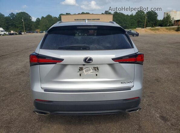 JTJYARBZXJ2107785 2018 LEXUS NX Silver უკანა ხედი