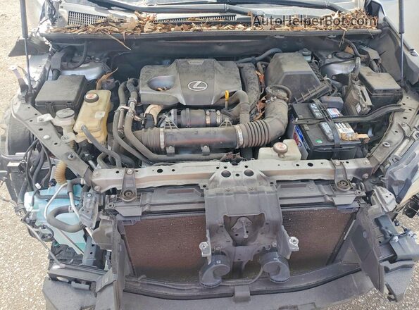 JTJYARBZXJ2107785 2018 LEXUS NX Silver უკანა სალონის ხედი
