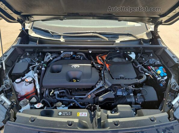 JTM7ERAV5TD001866 2026 TOYOTA RAV4 Gray Widok wnętrza z tyłu