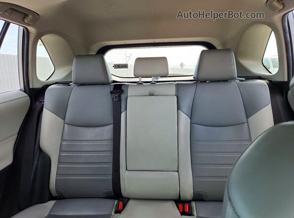 JTMA1RFV5KD511515 2019 TOYOTA RAV4 Silver Widok tylnych siedzeń