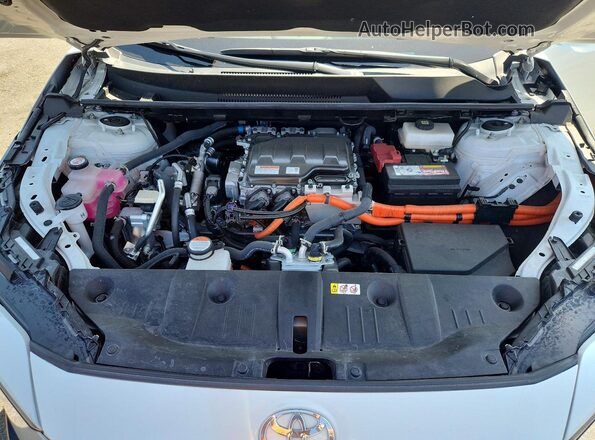 JTMAAAAA1SA055505 2025 TOYOTA BZ4X Burgundy Սալոնի հետևի տեսք