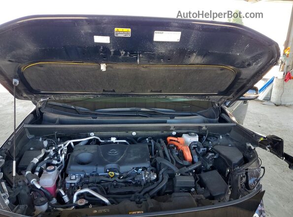 JTMAB3FV2SD241010 2025 TOYOTA RAV4 Black უკანა სალონის ხედი