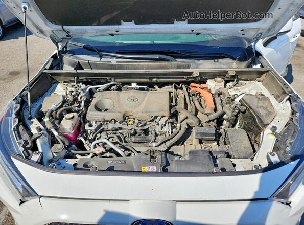 JTMAB3FV8MD053434 2021 TOYOTA RAV4 White უკანა სალონის ხედი
