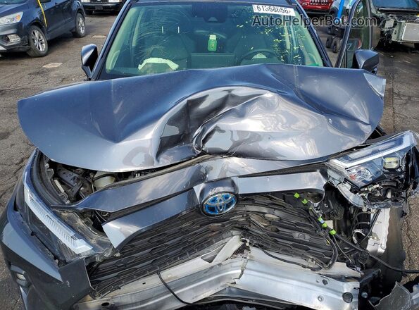 JTMB6RFV0PD108569 2023 TOYOTA RAV4 Gray Widok wnętrza z tyłu